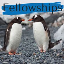 Fellowships